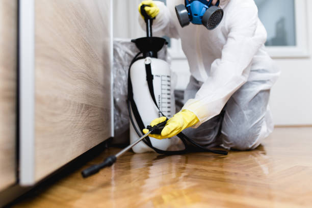 Best Best Pest Control Companies  in Gadsden, AL