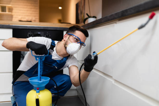 Reliable Gadsden, AL Pest Control Solutions