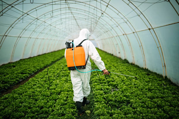 Best Local Pest Control Services  in Gadsden, AL