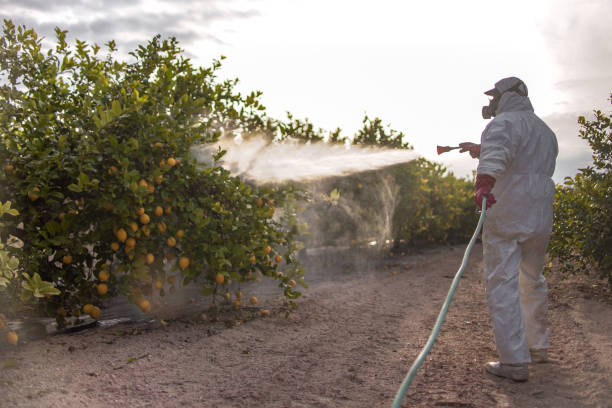 Best Residential Pest Control  in Gadsden, AL