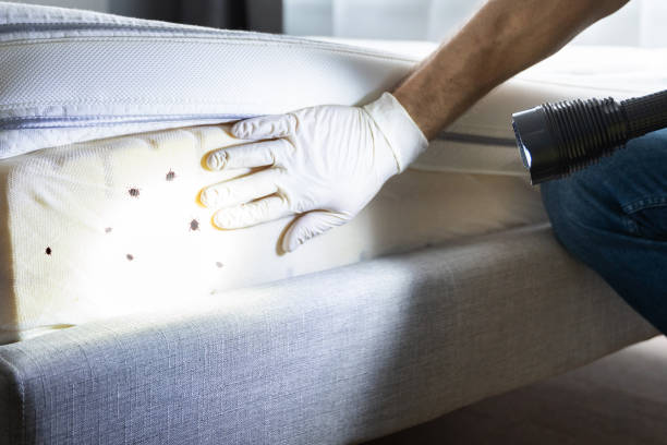 Best Commercial Pest Control Services  in Gadsden, AL
