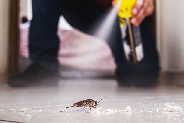Wildlife Control Services in Gadsden, AL