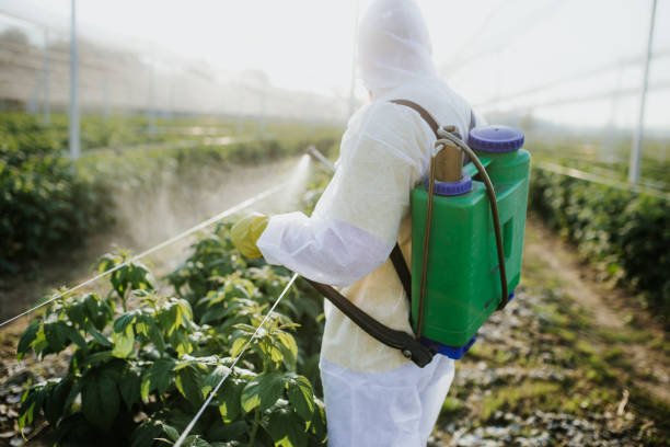 Best Bed Bug Extermination  in Gadsden, AL